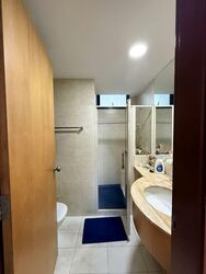 Blue Horizon (D5), Condominium #599556271